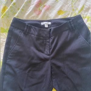 New York and company pin stripe pant